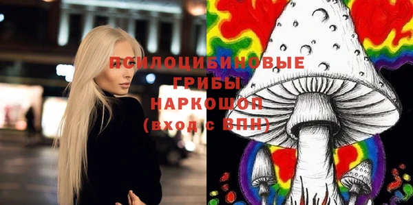 эйфоретик Пересвет