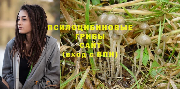 прущие грибы Арсеньев