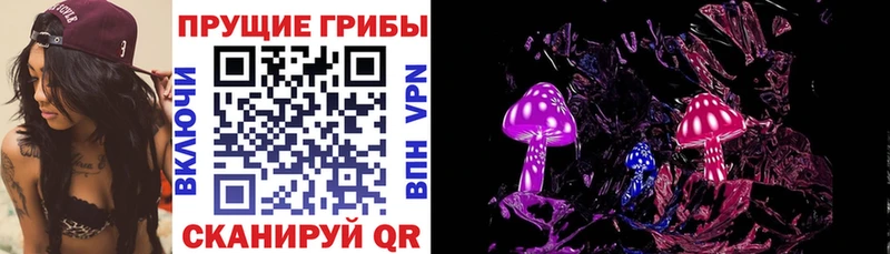 купить наркотики цена  Солигалич  Псилоцибиновые грибы Cubensis 